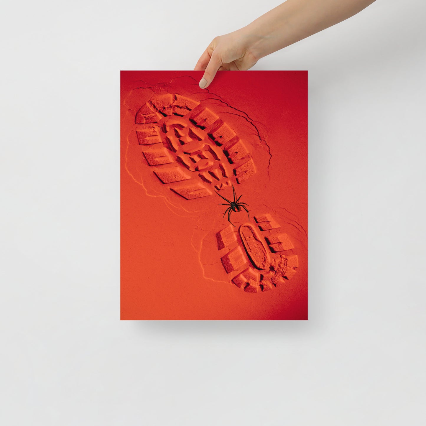 Redback Spider on Red Sand with a Boot Print Poster