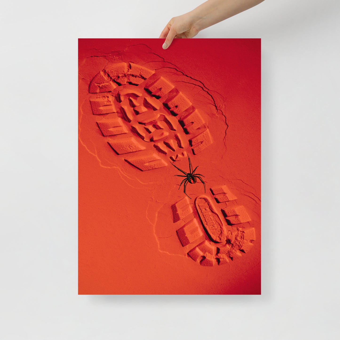 Redback Spider on Red Sand with a Boot Print Poster